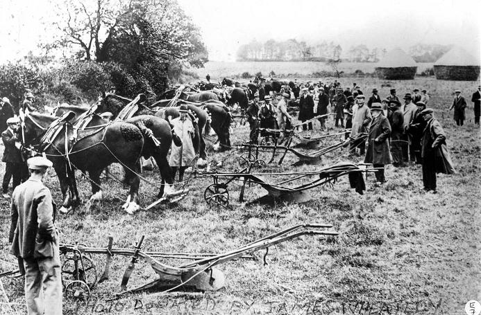 Ploughing Match